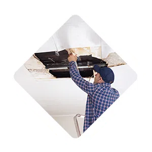 Pembroke Pines Restoration Expert, Pembroke Pines, FL 954-526-1438 - sb-ser-01